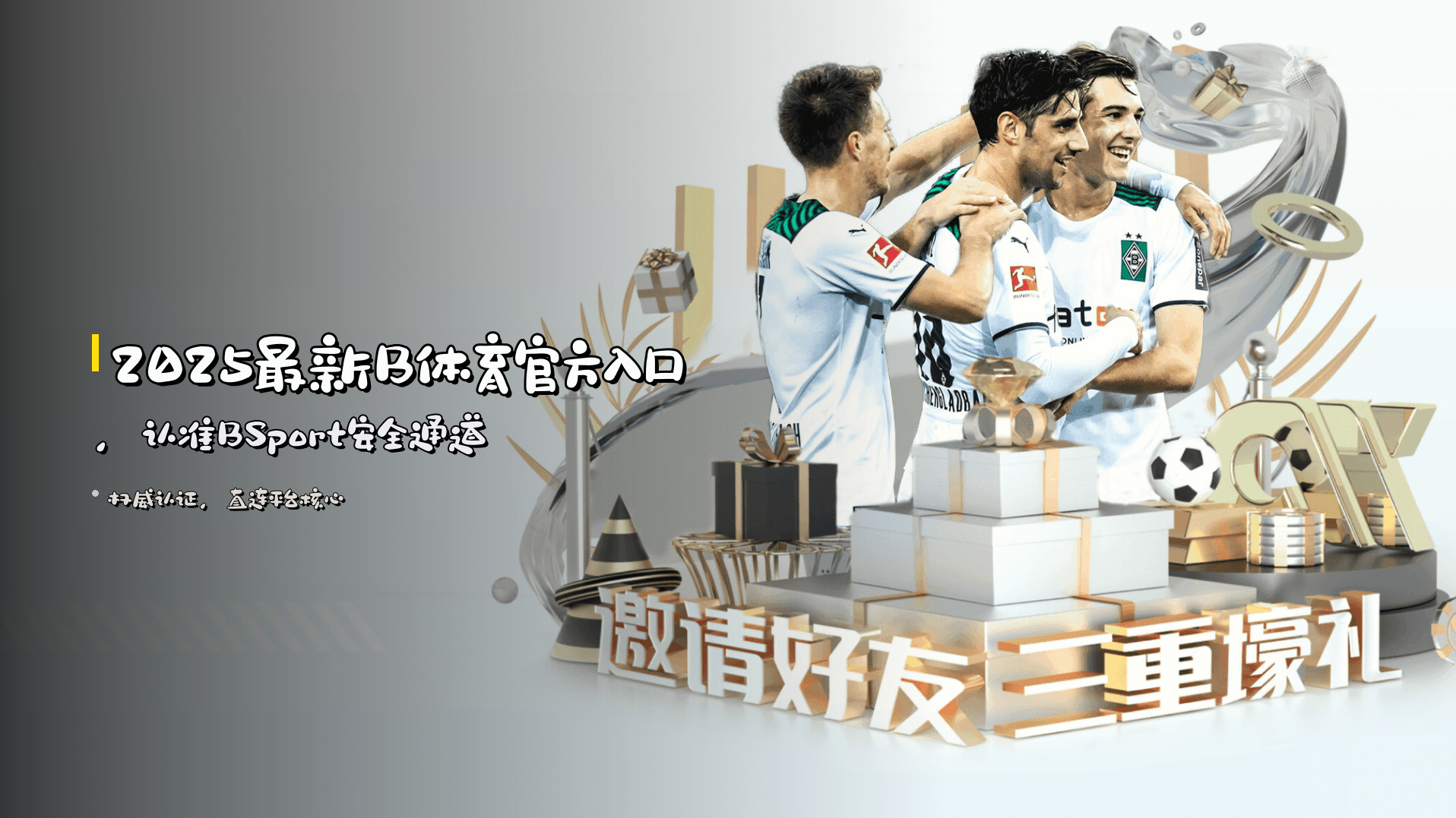 2025最新<strong>B体育官方入口</strong>，认准BSport安全通道